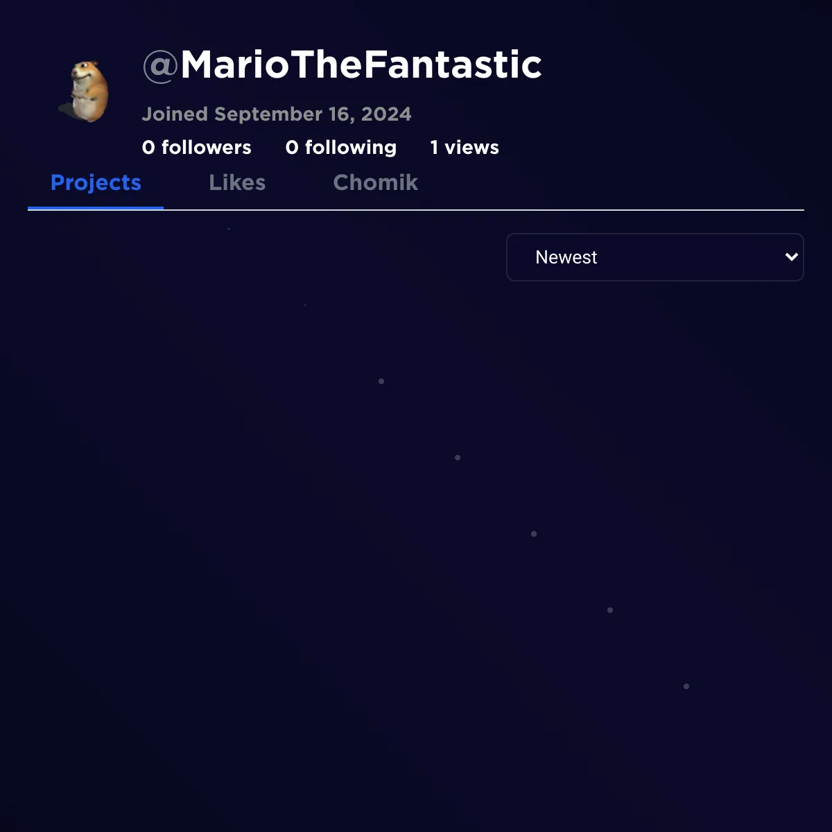 the project is loading