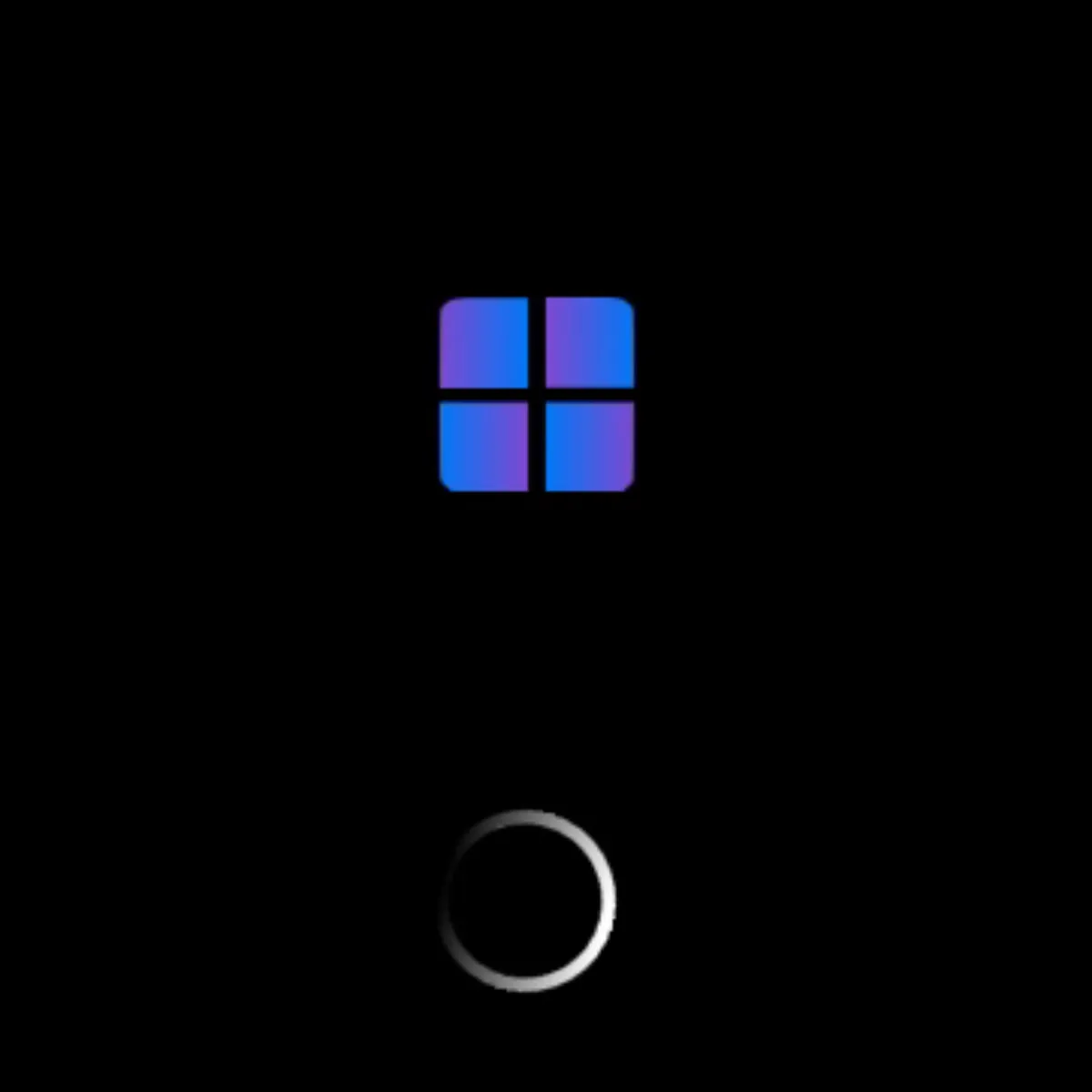 the project is loading
