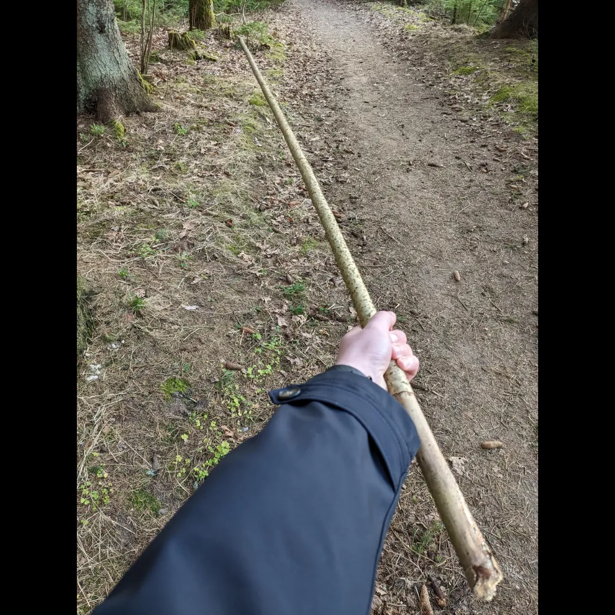 AdventureLens AI [Touch grass]