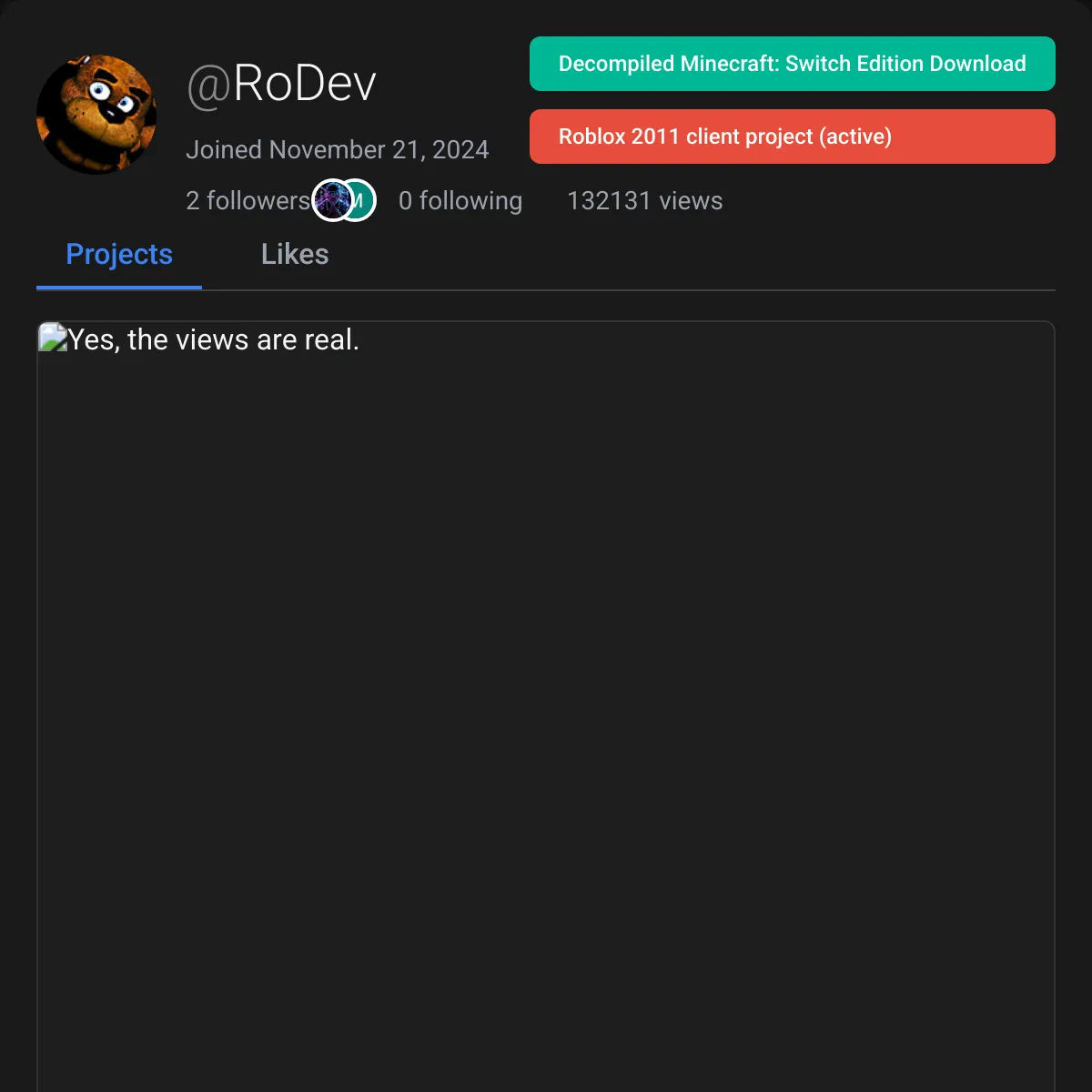 the project is loading