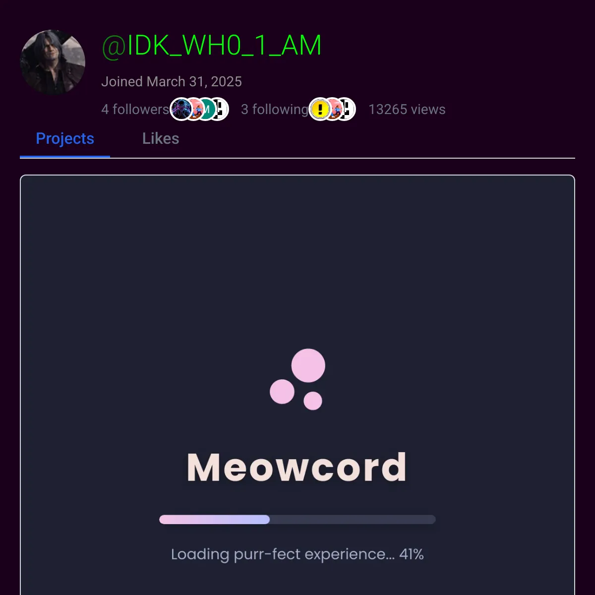 the project is loading
