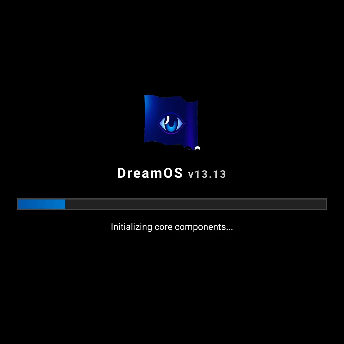 the project is loading