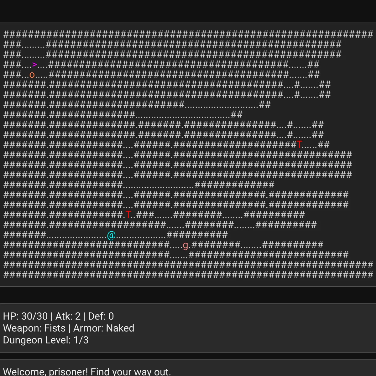 the project is loading