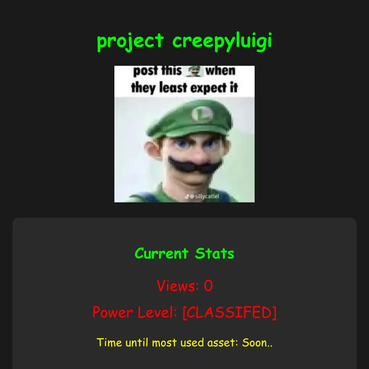 the project is loading