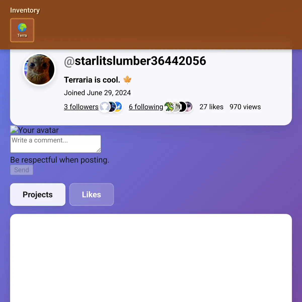 the project is loading
