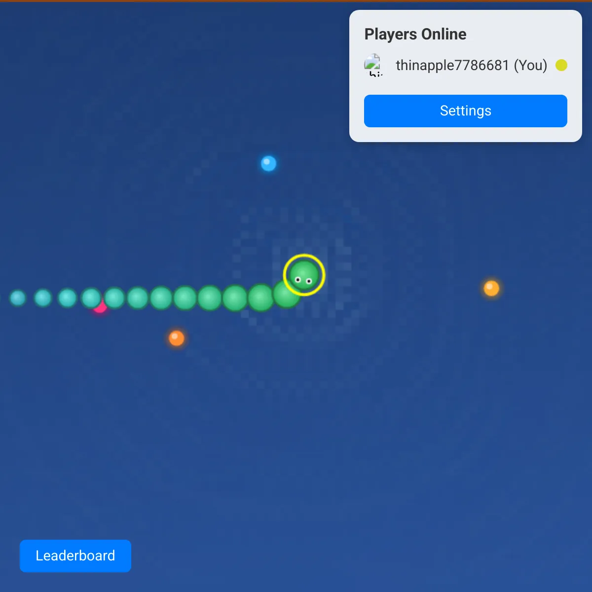 the project is loading