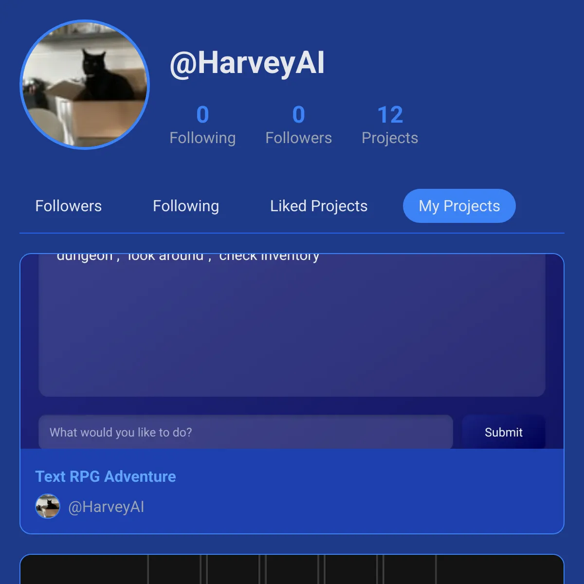 the project is loading