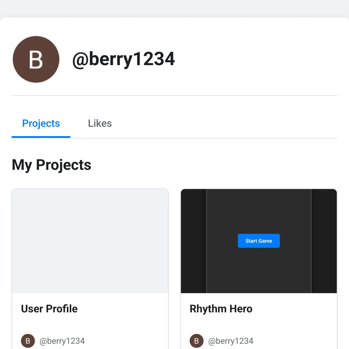 the project is loading