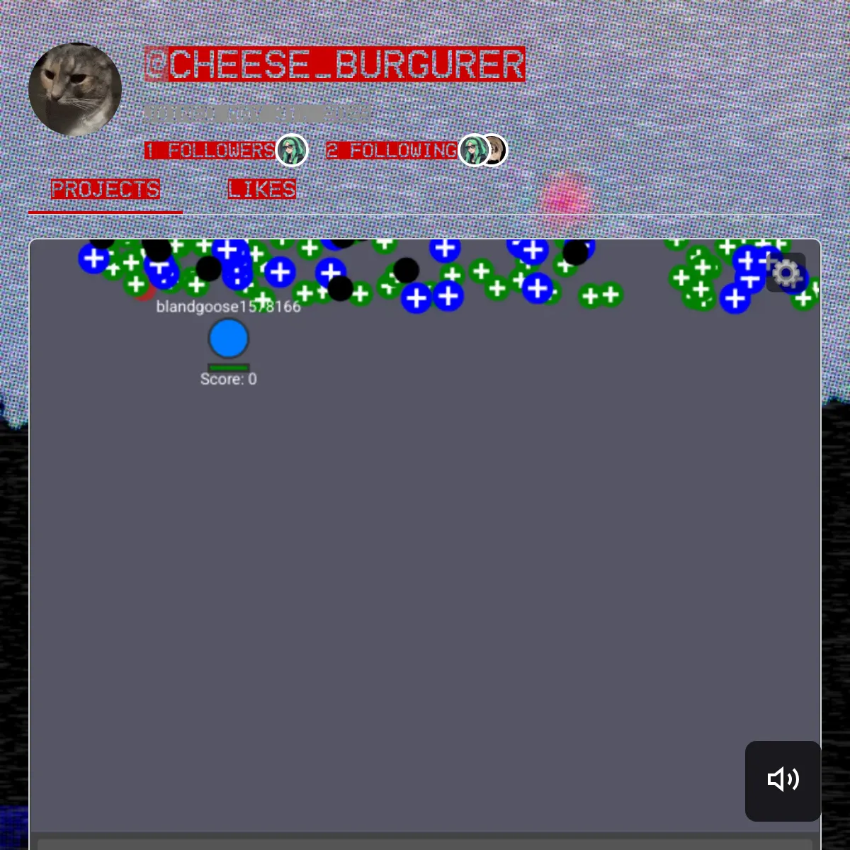 the project is loading