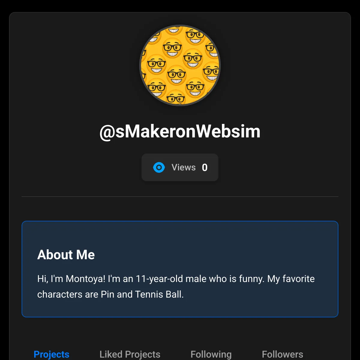 the project is loading