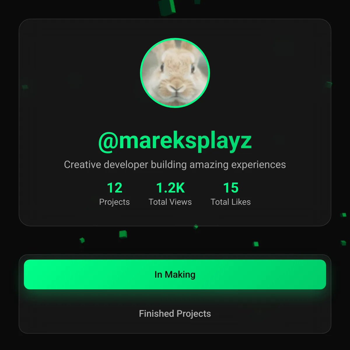 the project is loading