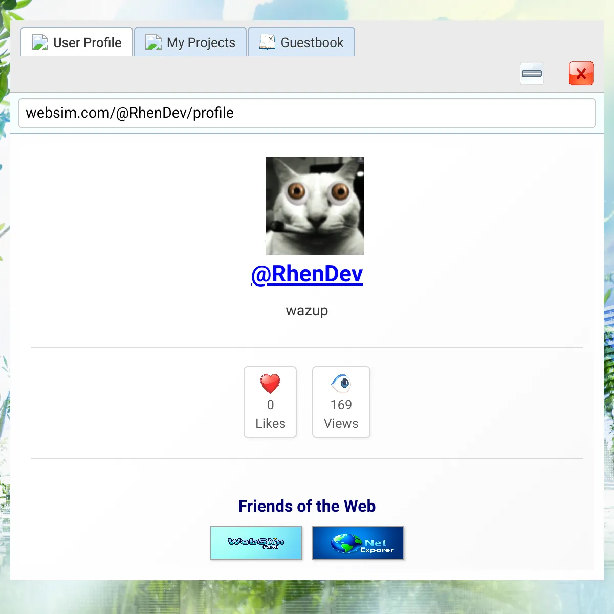 the project is loading