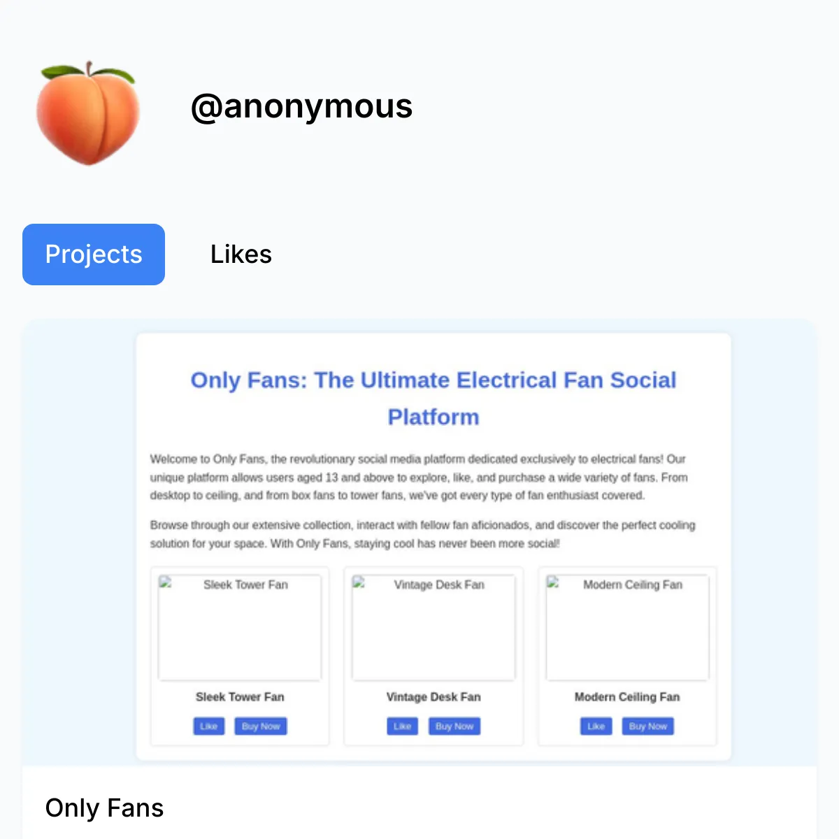 the project is loading