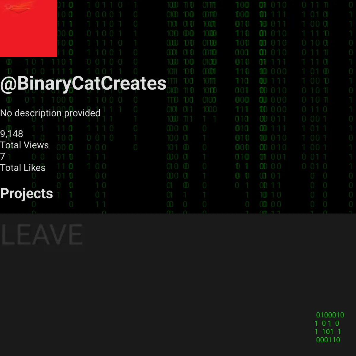 the project is loading
