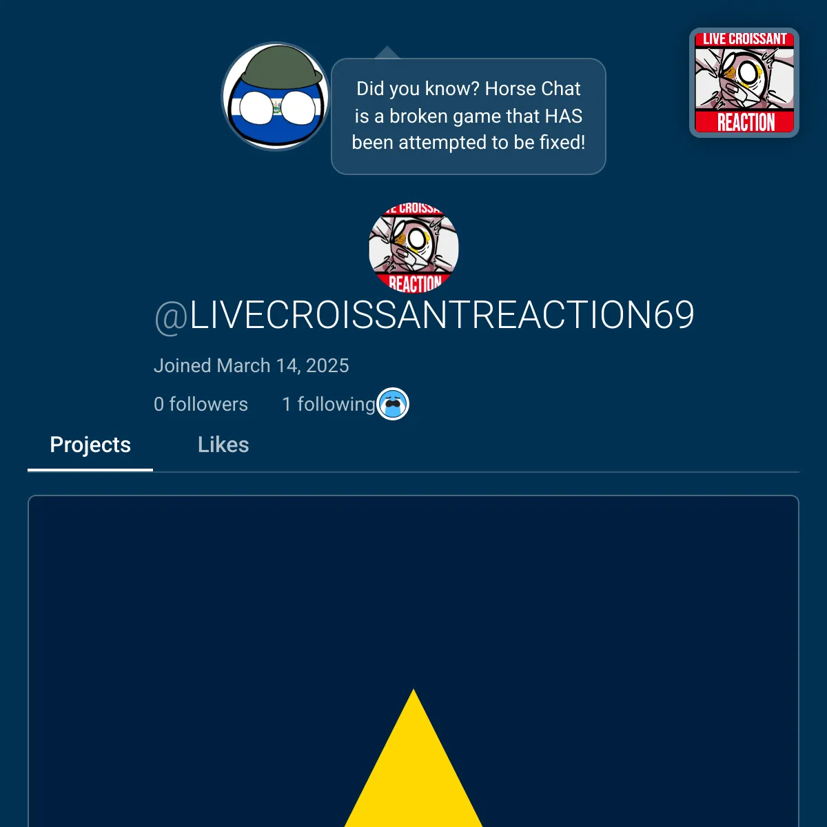 the project is loading