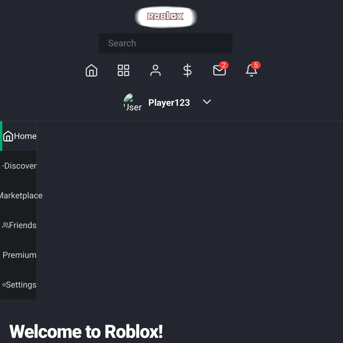 the project is loading