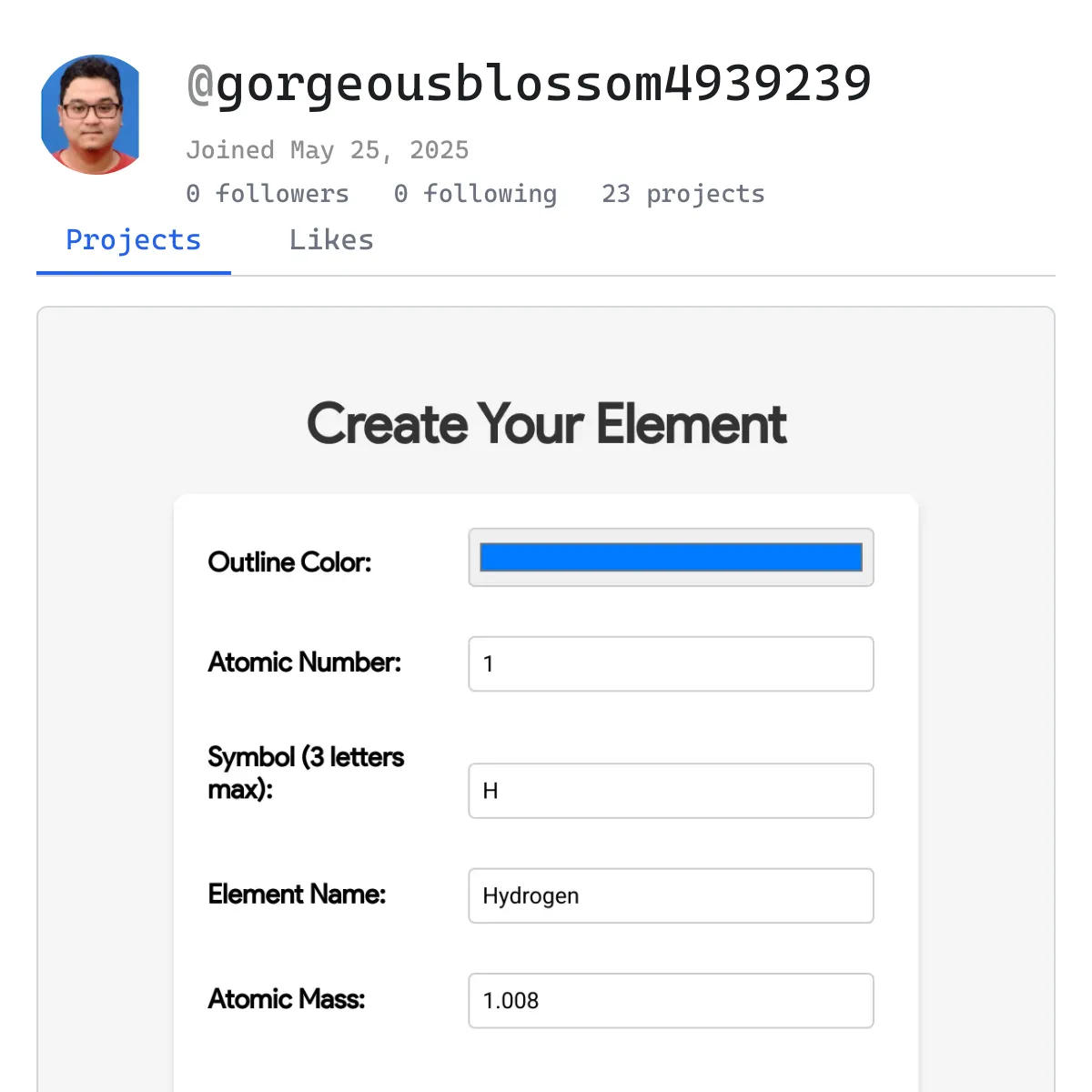 the project is loading