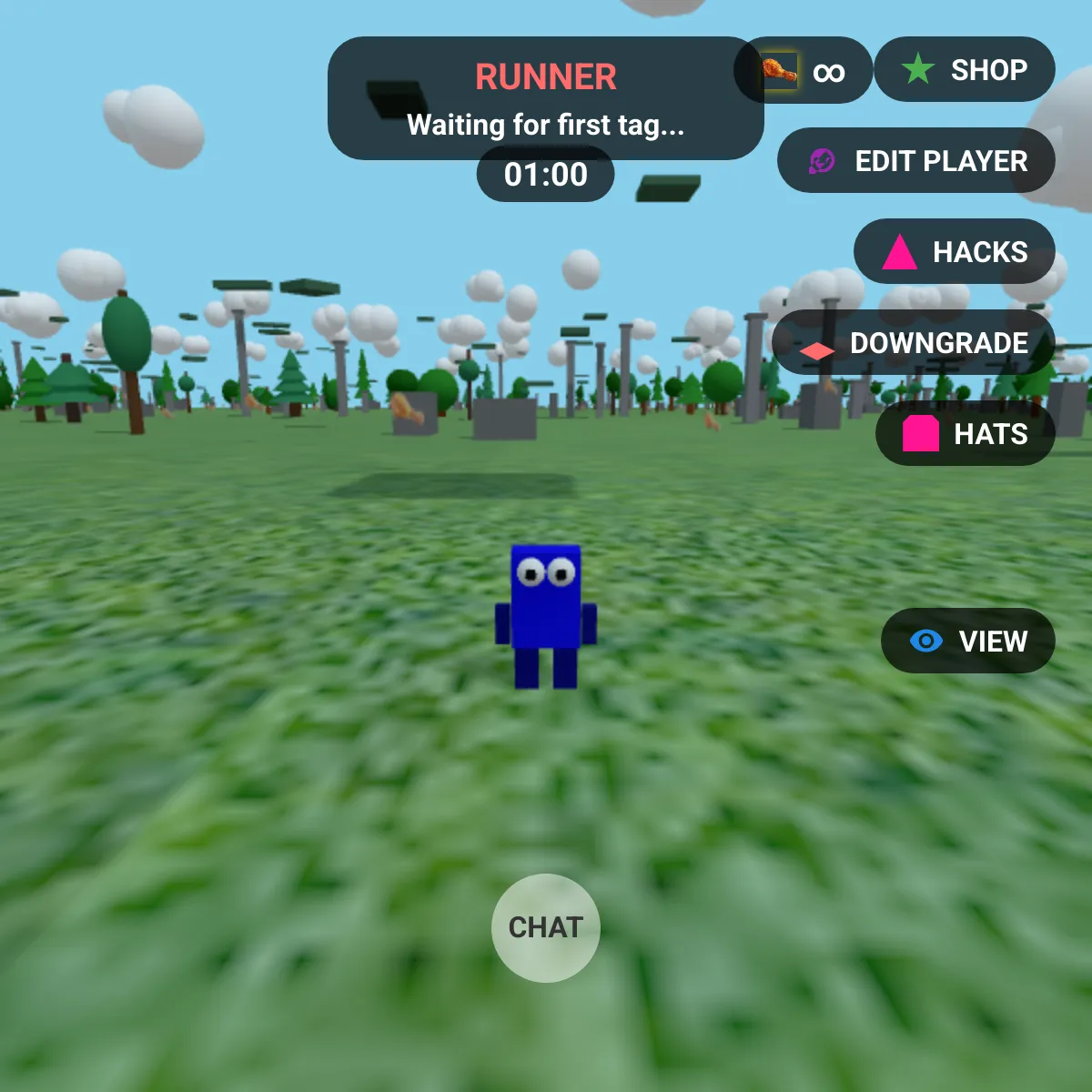 the project is loading