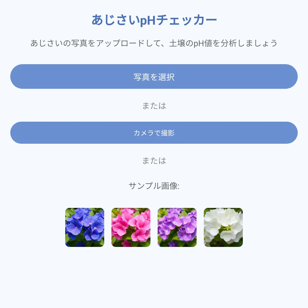 the project is loading