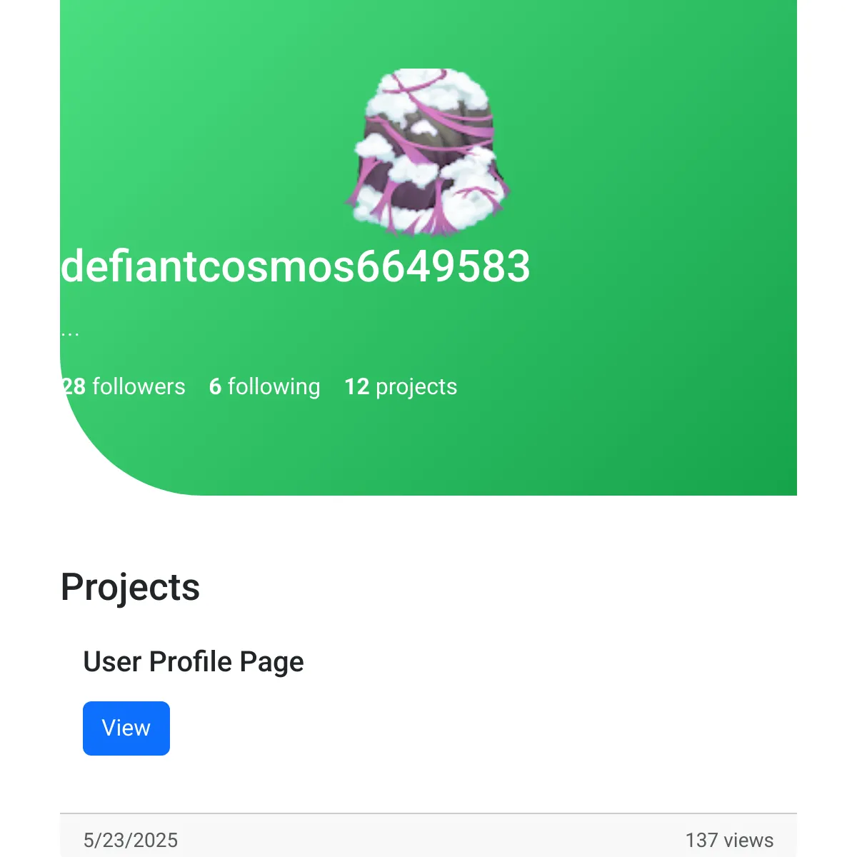the project is loading