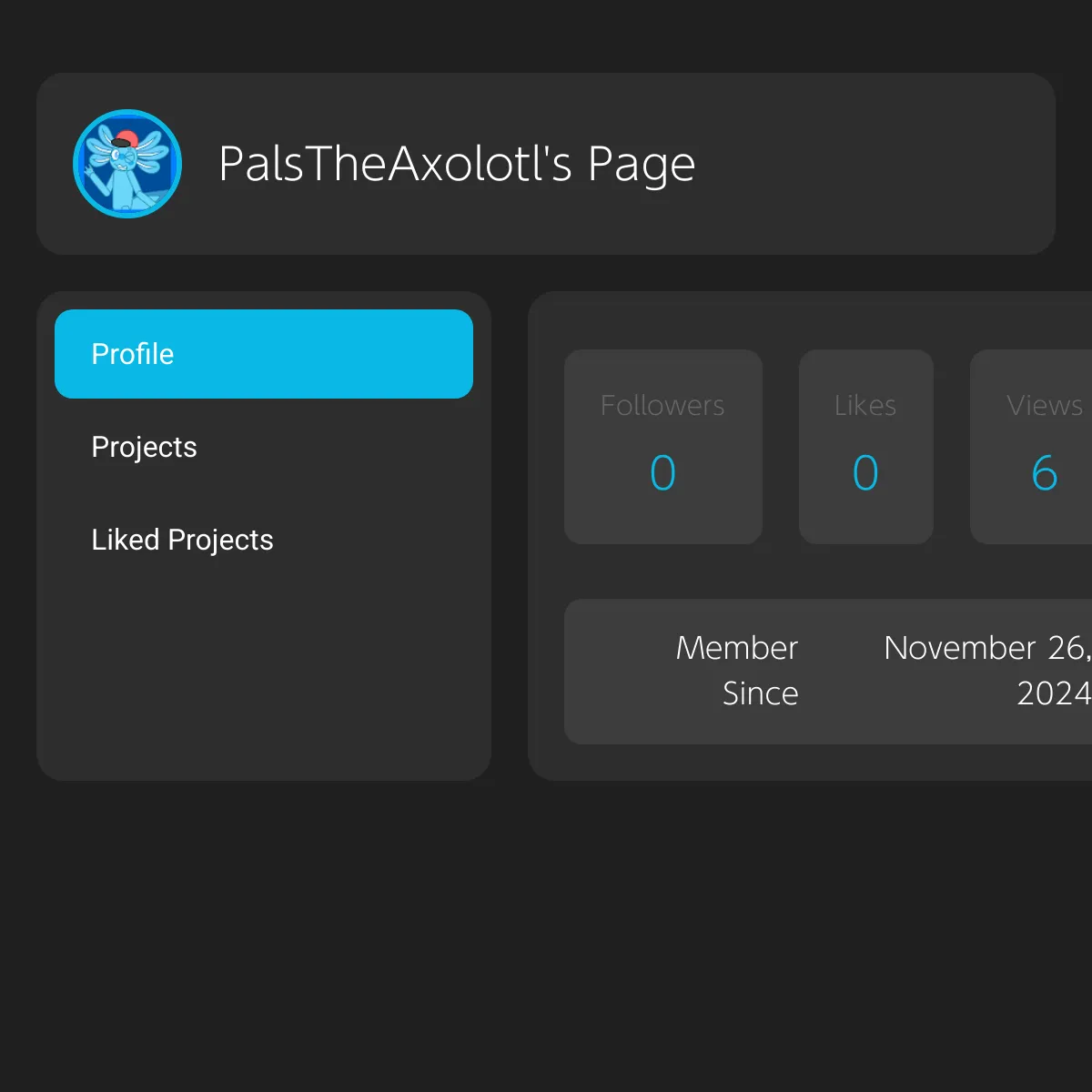 the project is loading