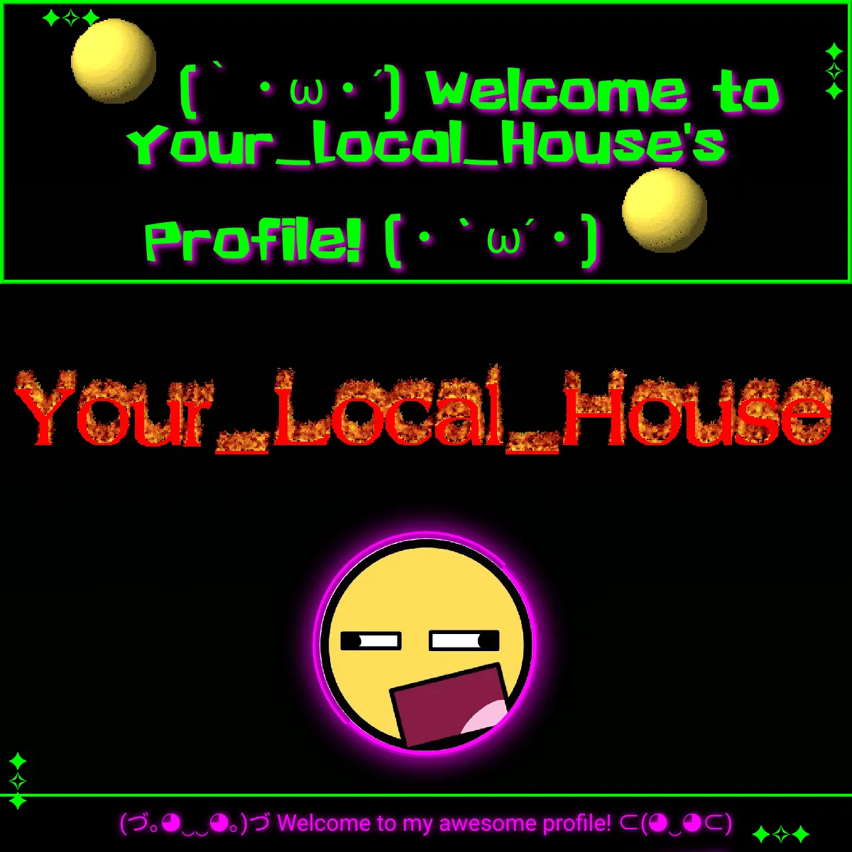 the project is loading