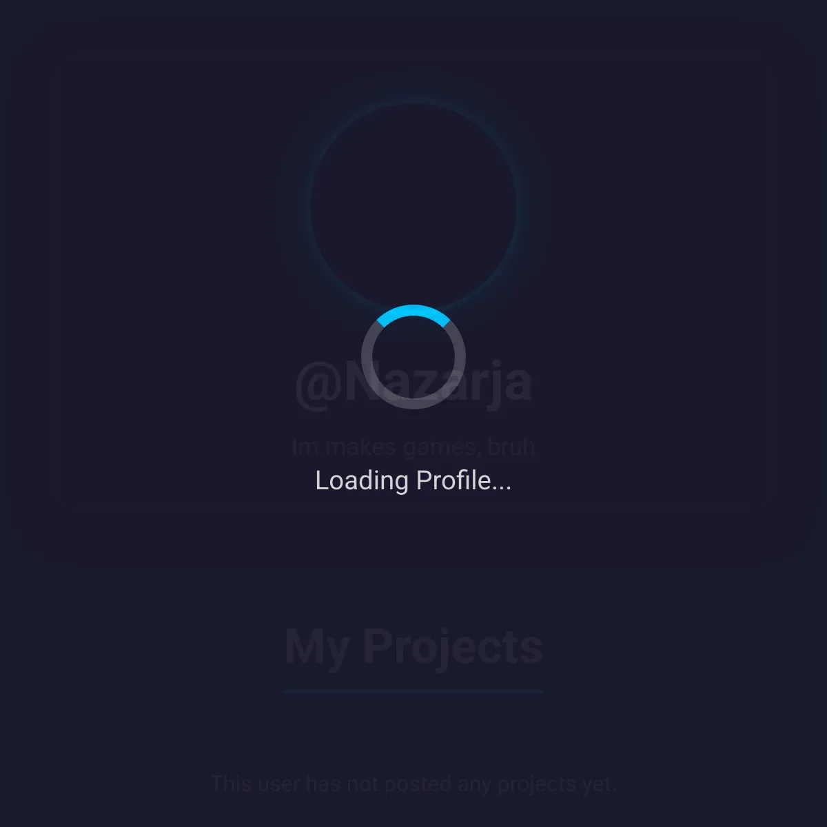 the project is loading