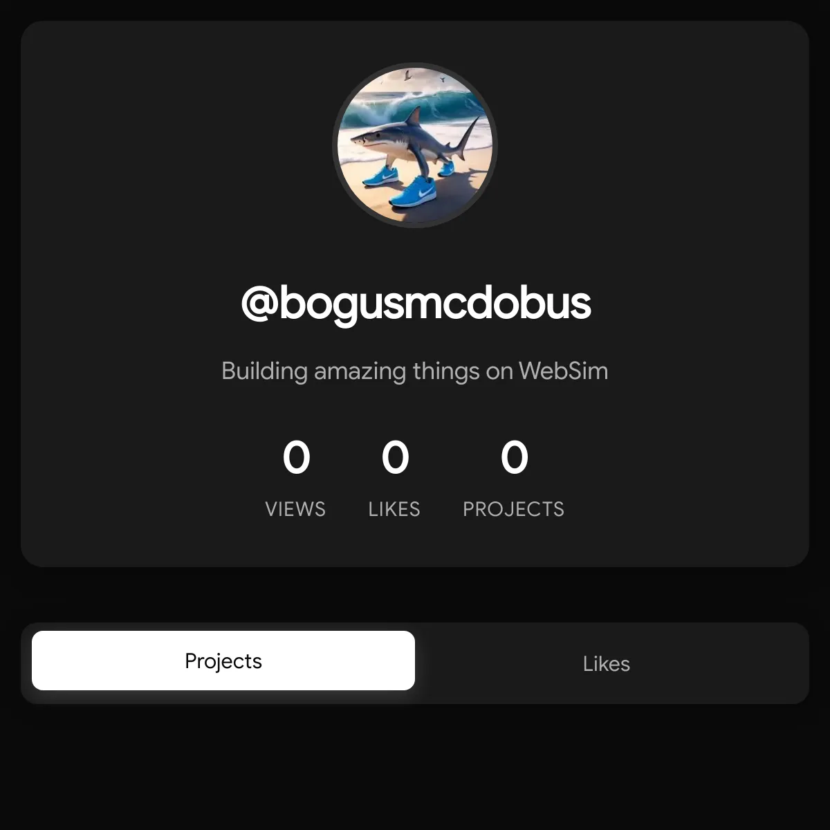 the project is loading