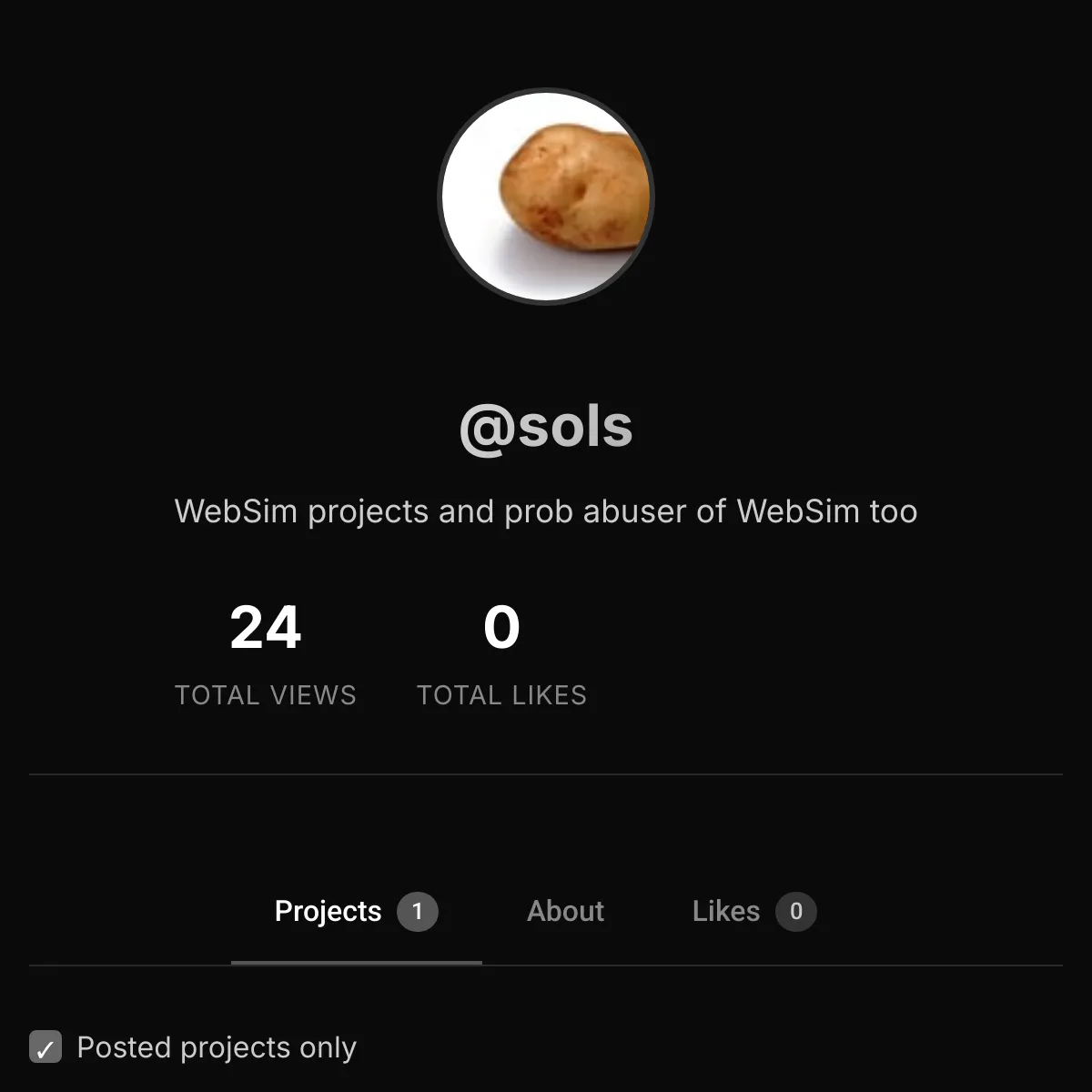 the project is loading
