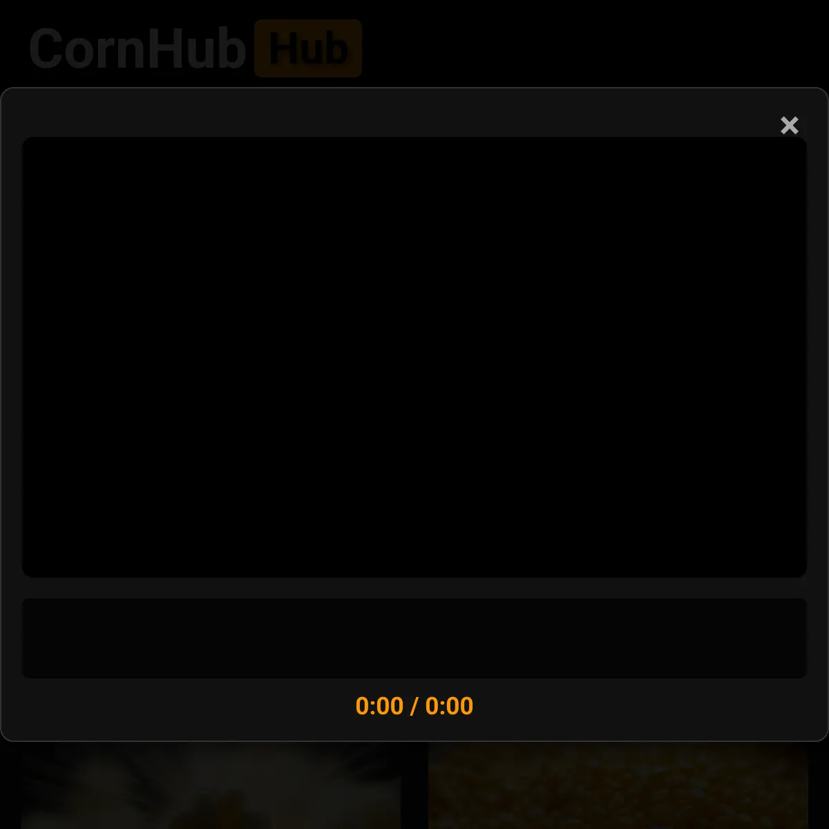 the project is loading