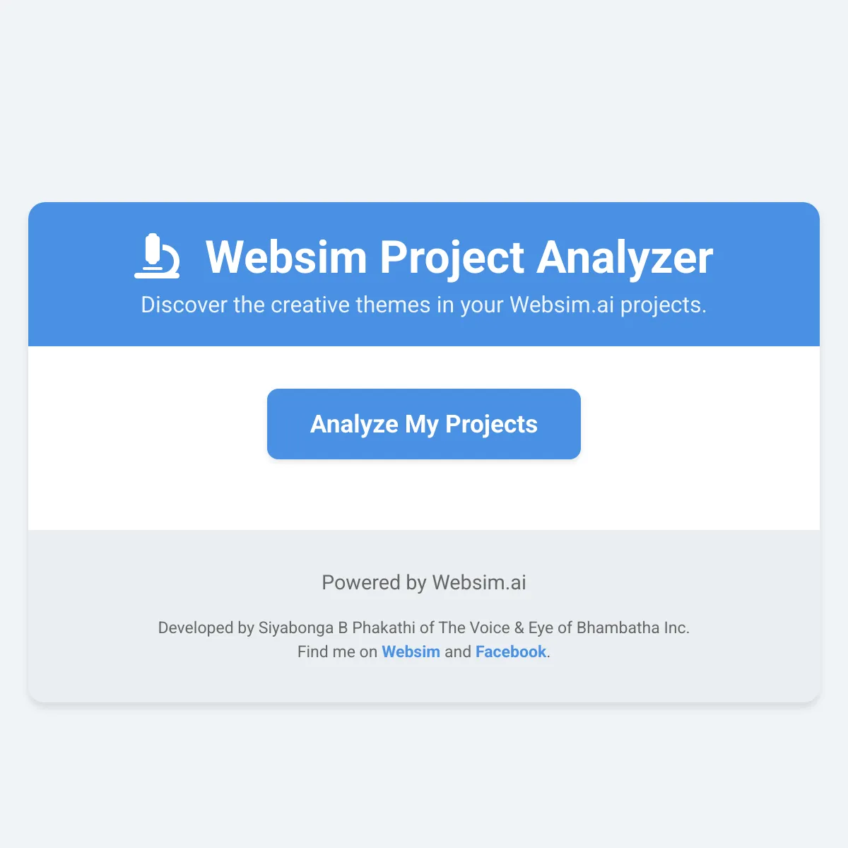 Websim Project Analyzer