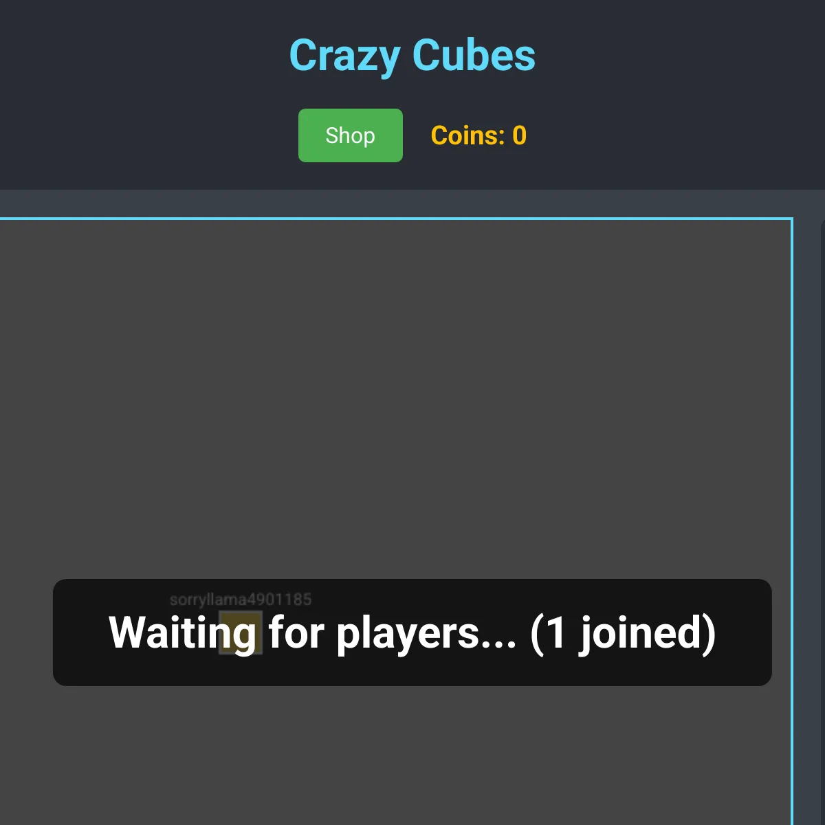 the project is loading