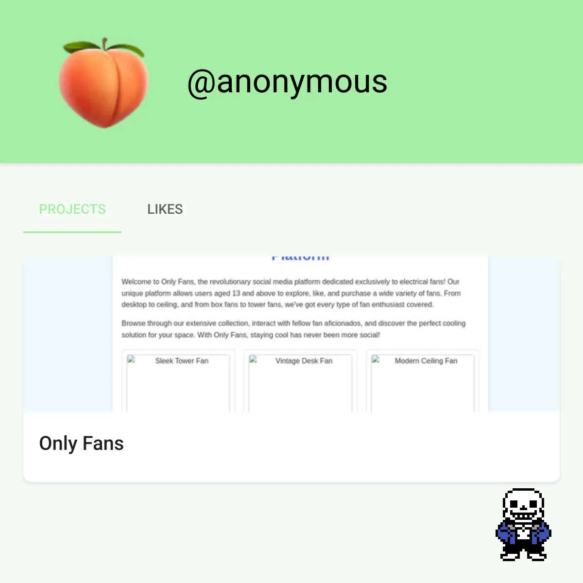 the project is loading