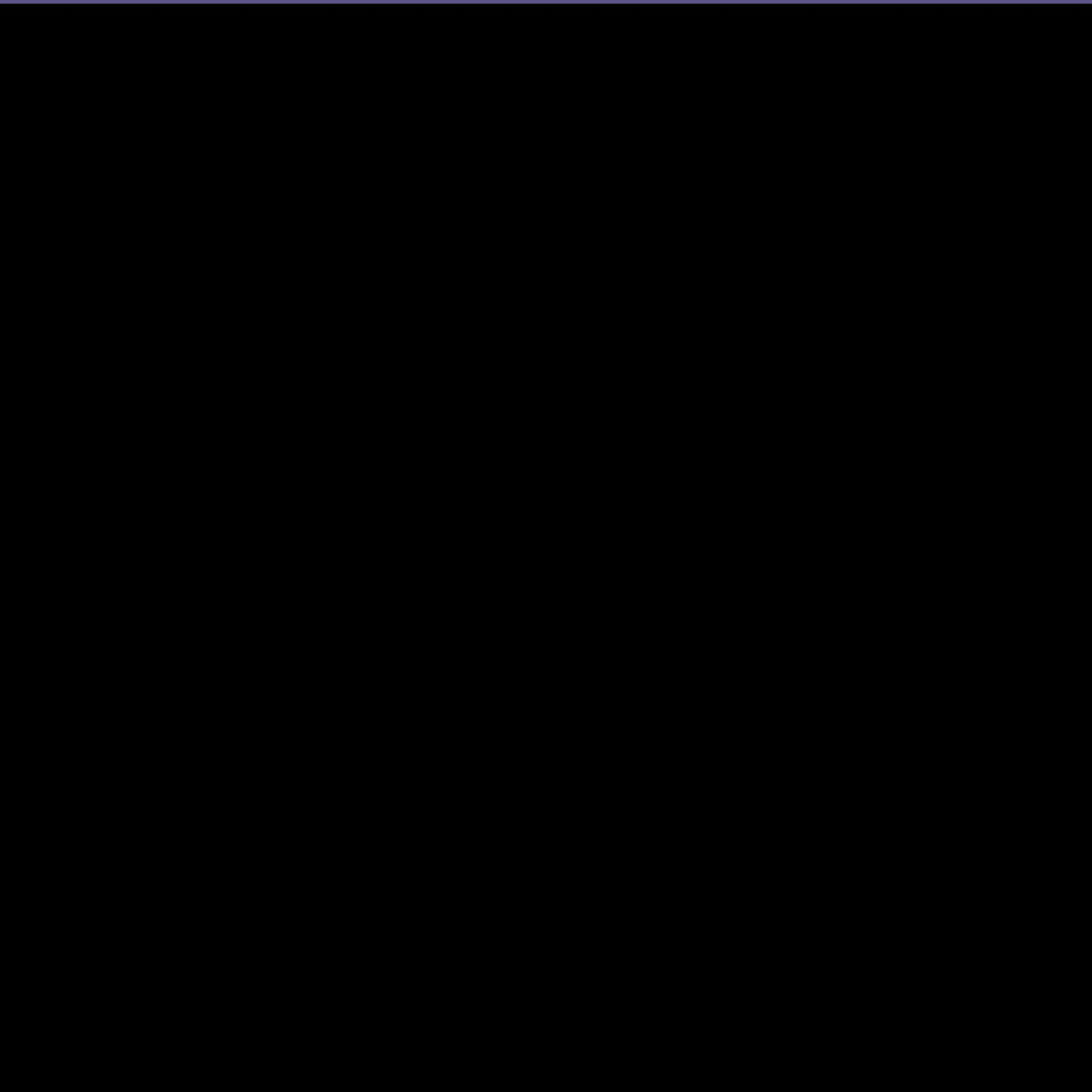 the project is loading