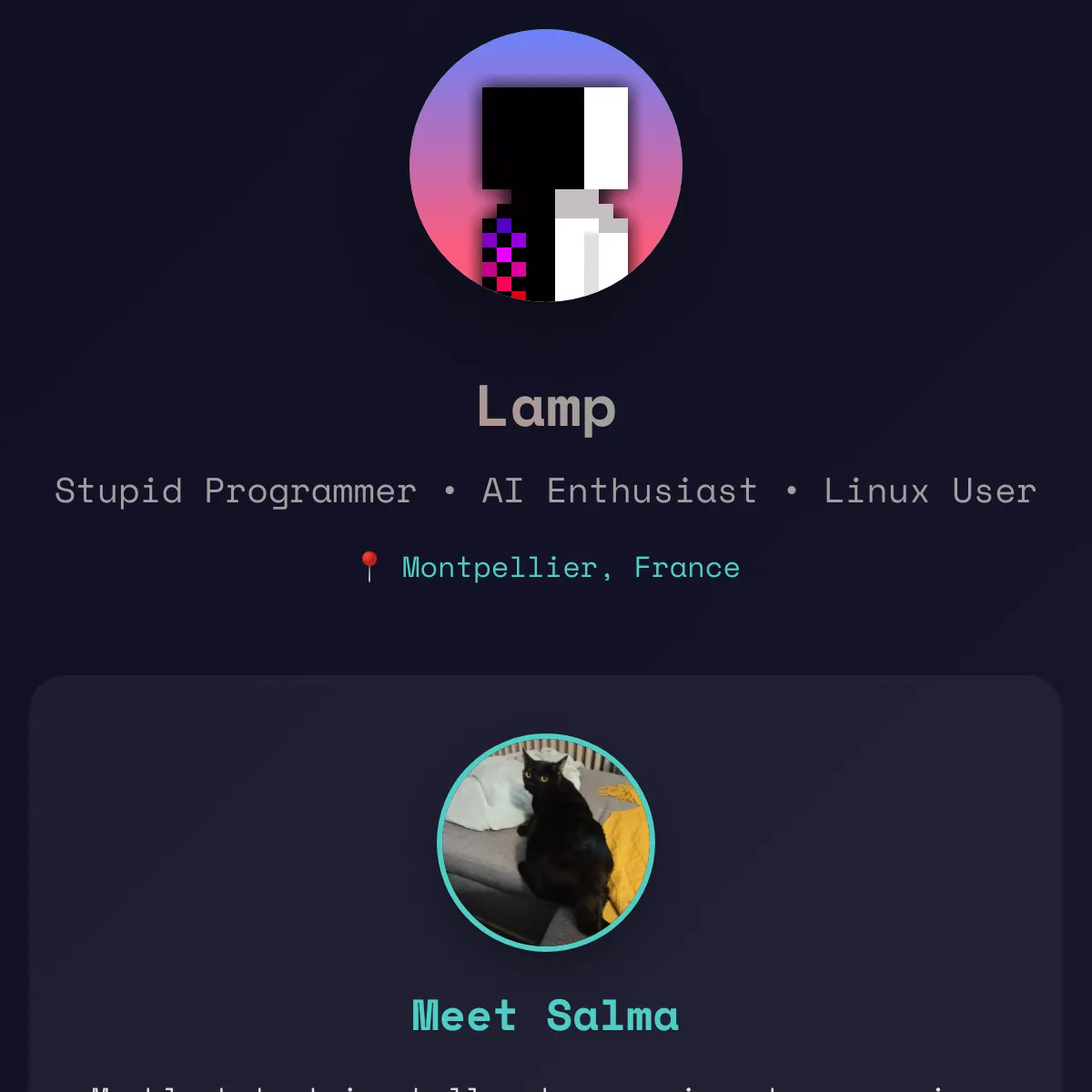 the project is loading