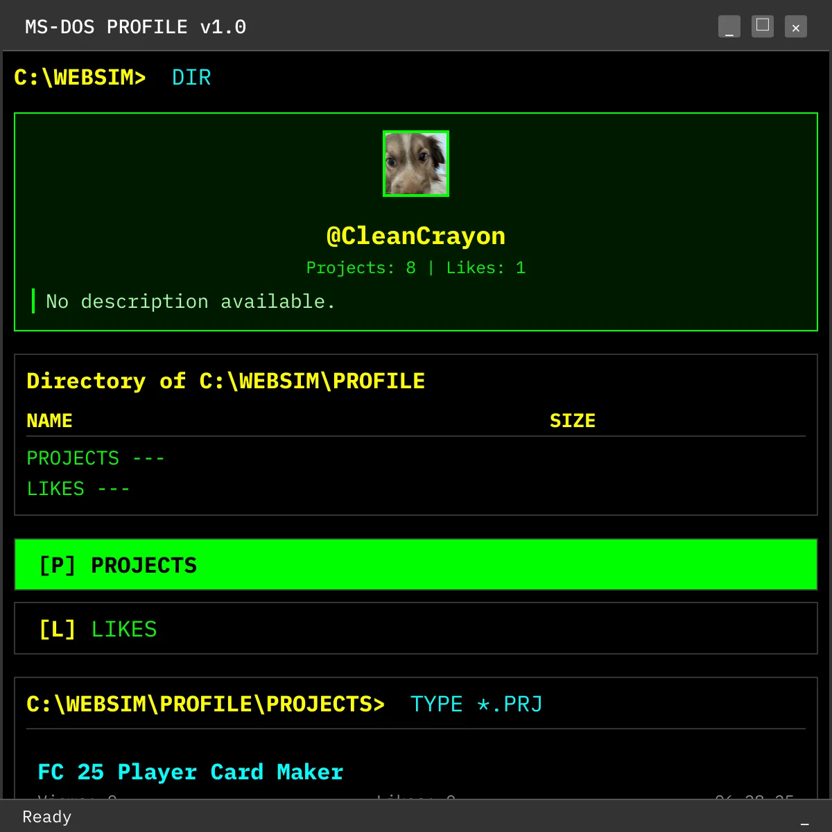 the project is loading