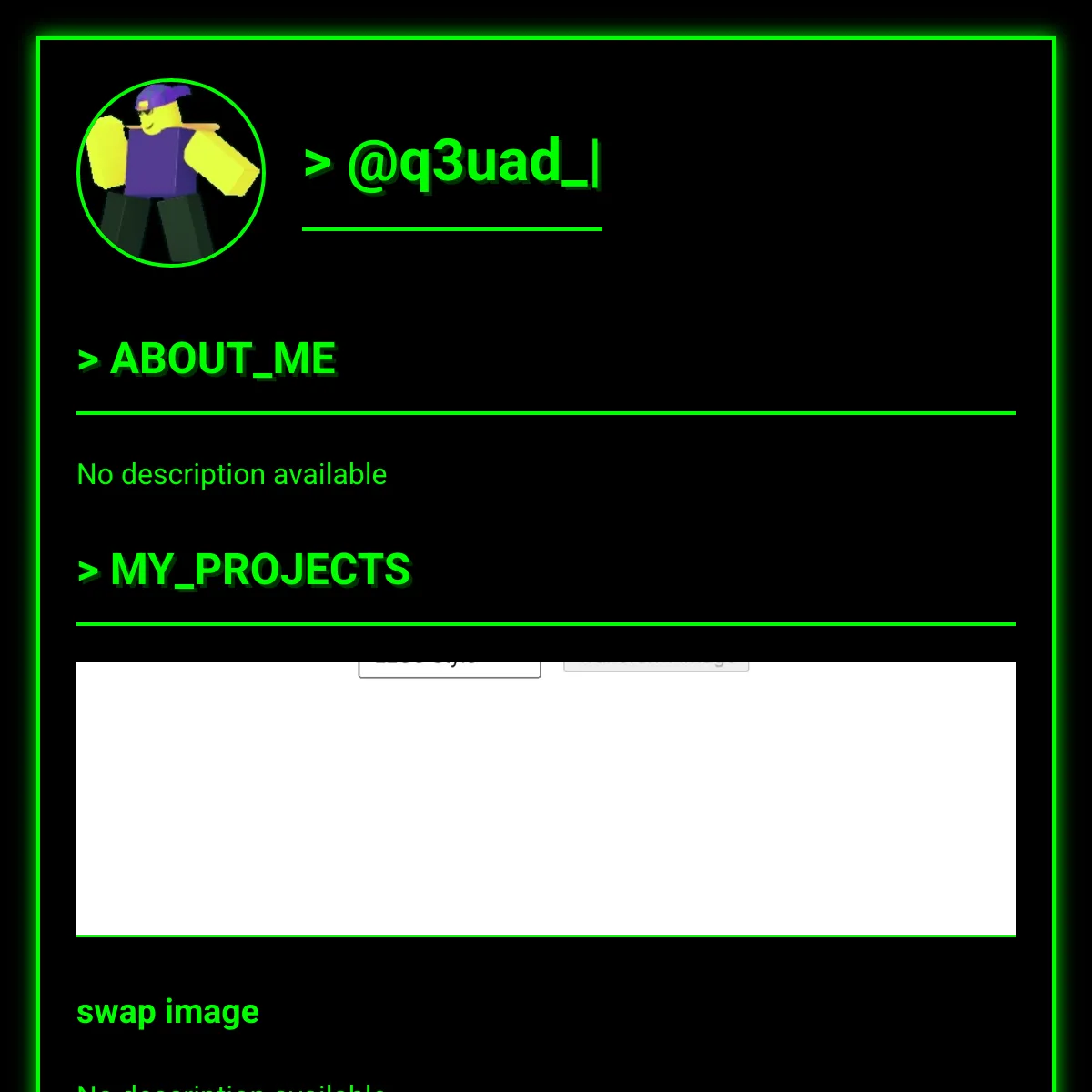 the project is loading