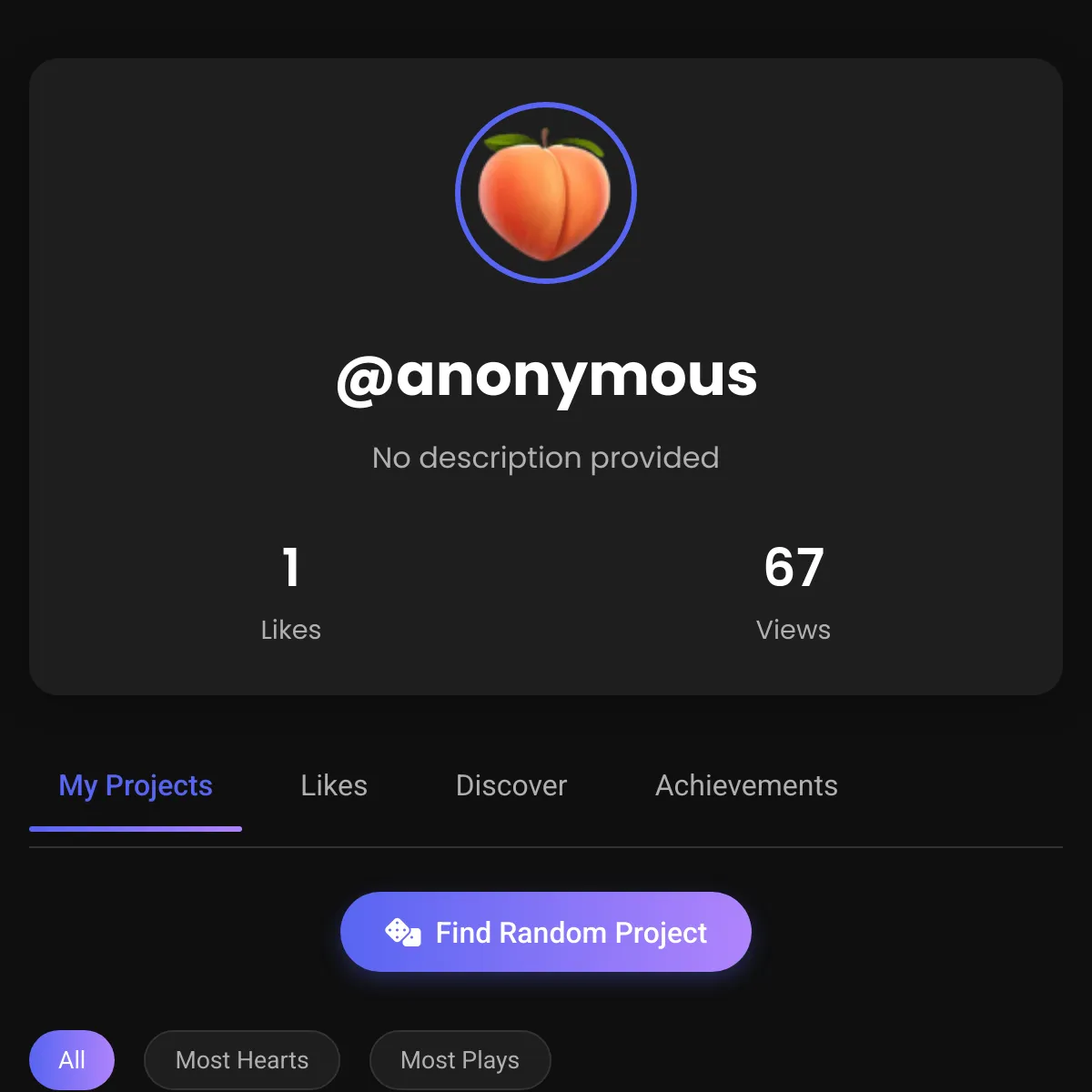 the project is loading