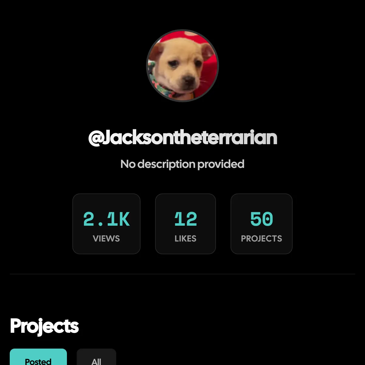 the project is loading