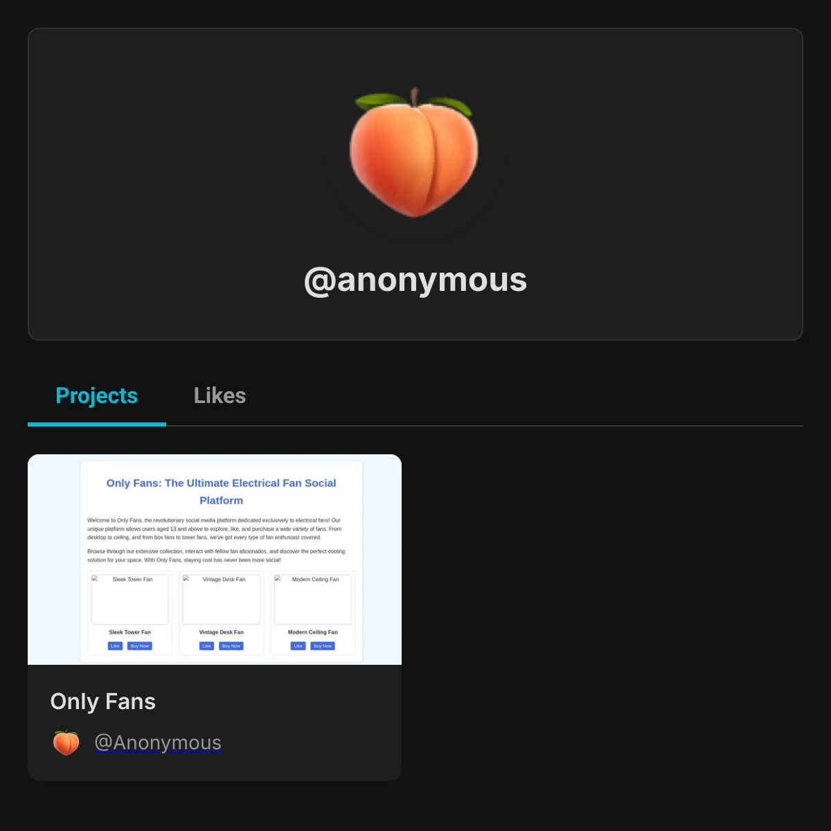 the project is loading