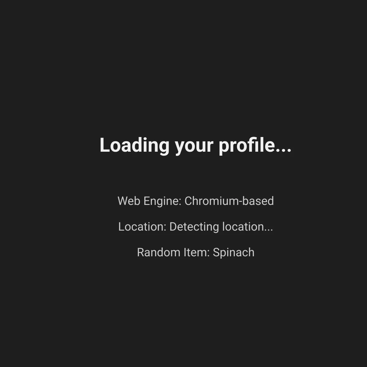 the project is loading