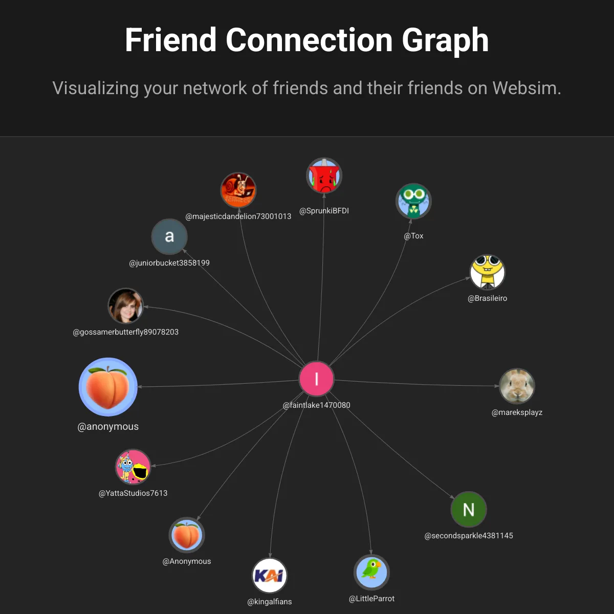 Friend Connection Graph