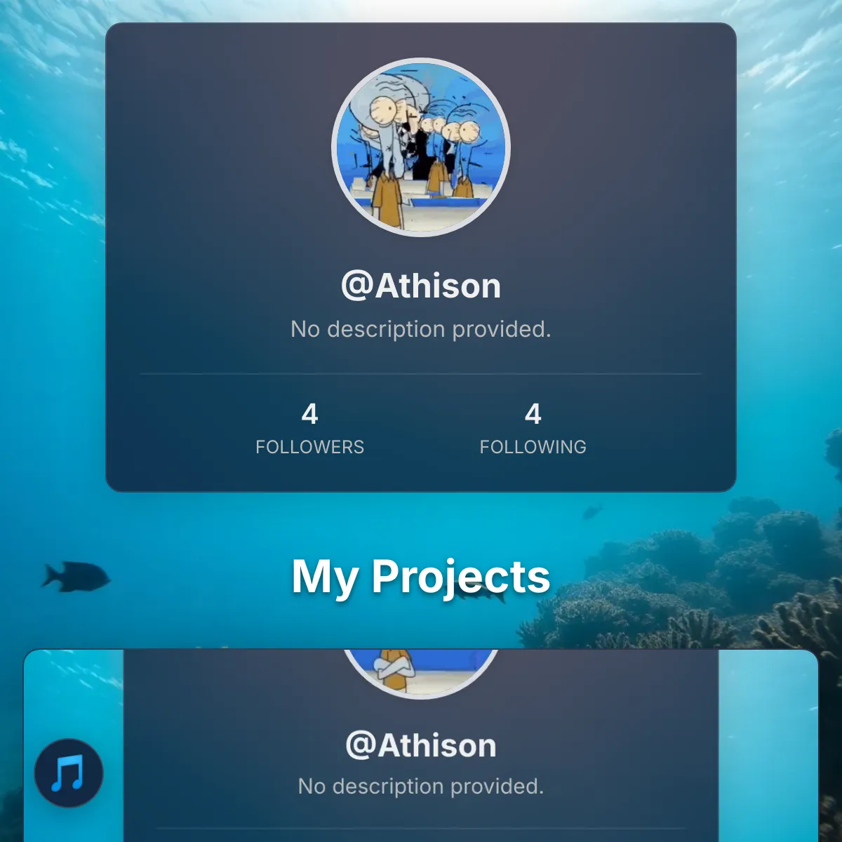 the project is loading