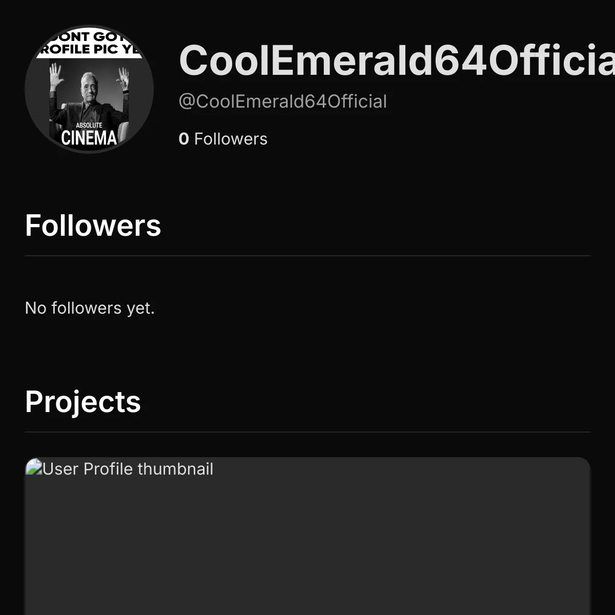 the project is loading