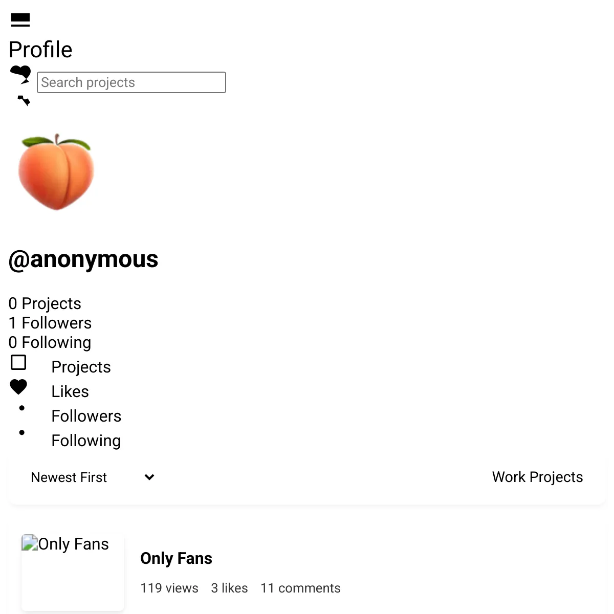 the project is loading