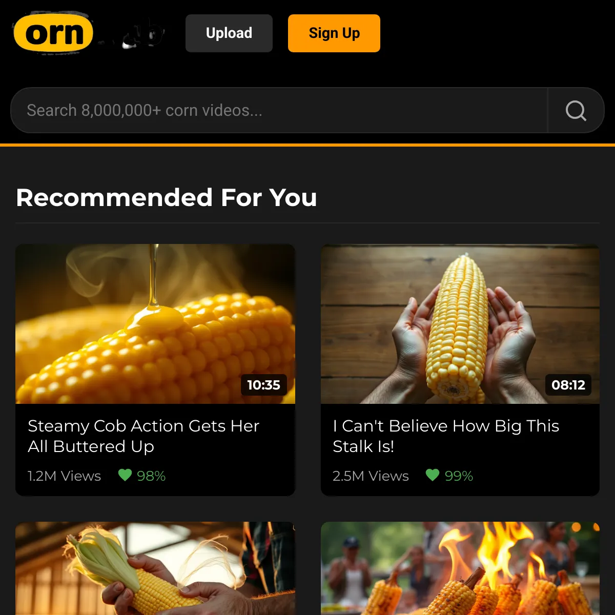 the project is loading