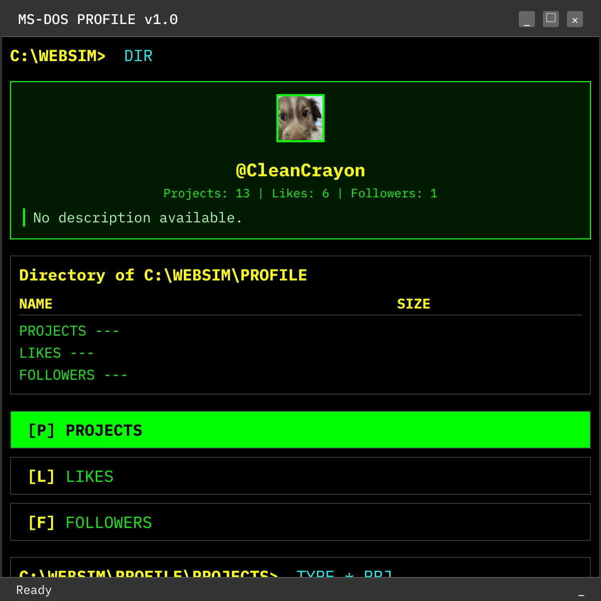 the project is loading
