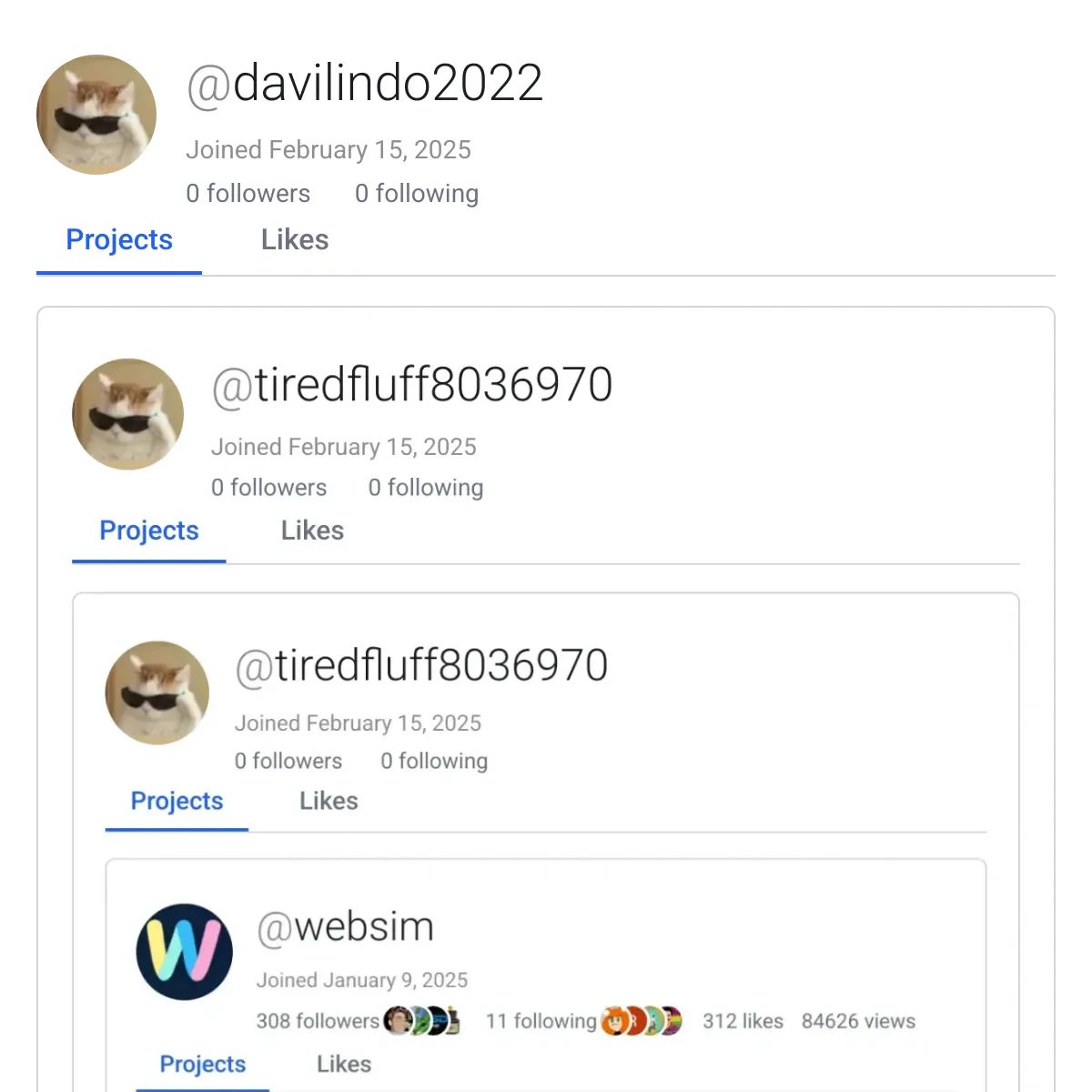 the project is loading