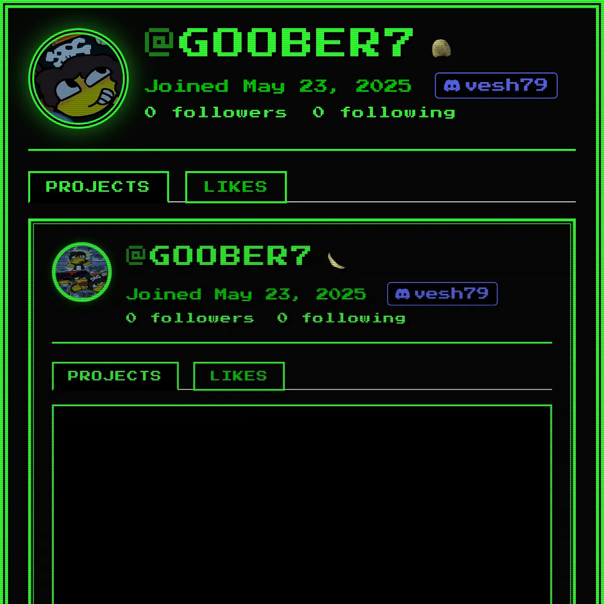 the project is loading