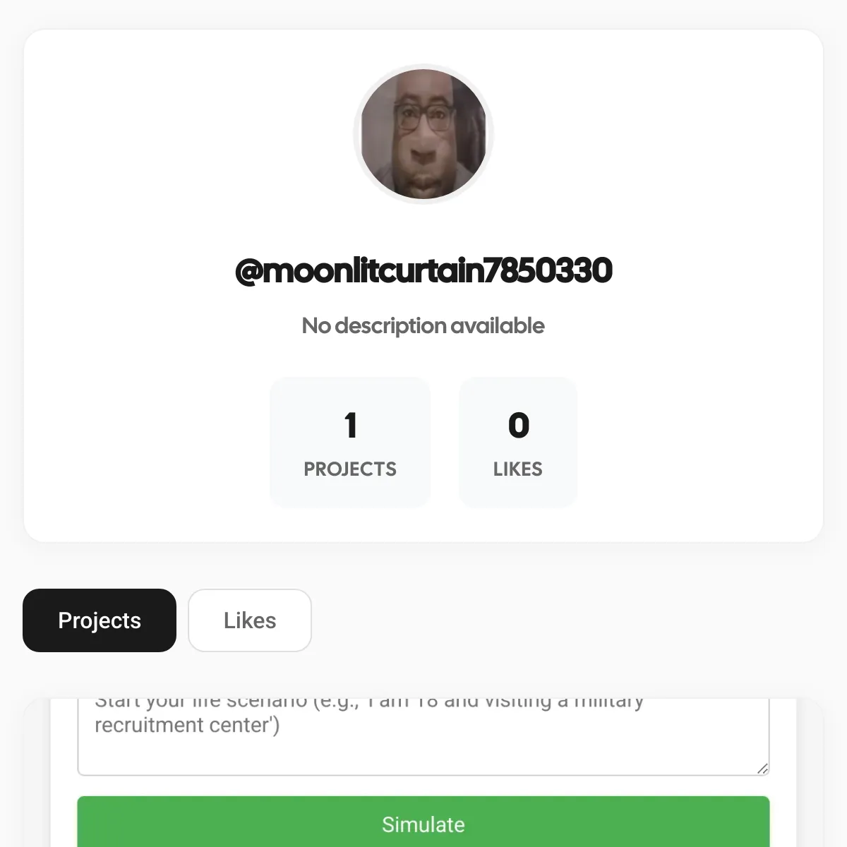 the project is loading